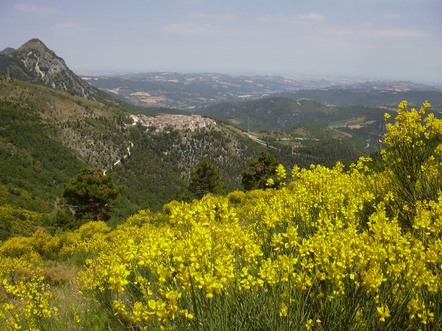 pietra tra le pietre (omaggio a Castelletta)